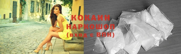 гашик Бородино