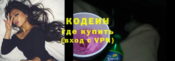 гашик Бородино