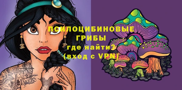 скорость Бронницы