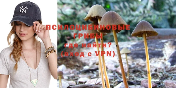 скорость Бронницы
