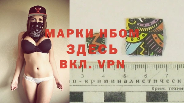 дживик Сосновый Бор